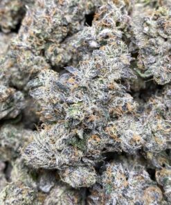 ZKILLATO , Zkittlez x Gelato 41