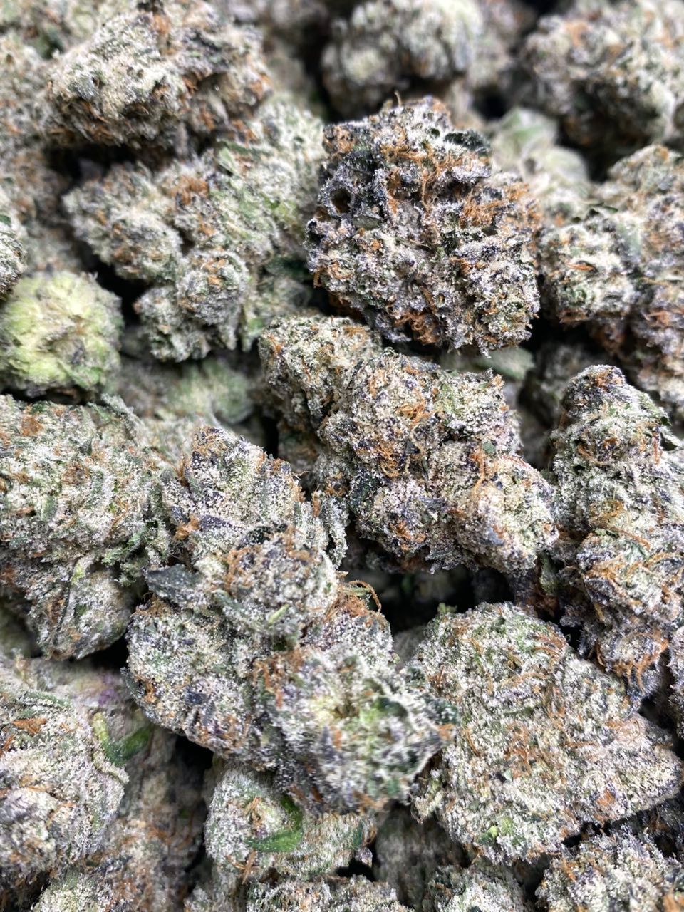 WHITE CHERRY ZLUSHIE