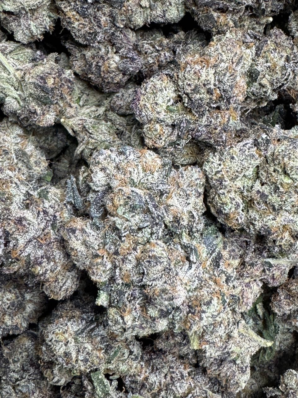 MAMBAZ AAA small batch / Organic soil