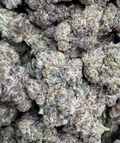 CHERRY DELIGHT AAA small batch / Organic soil