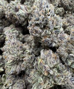 PRIZM  10/10 elite soil grown batch